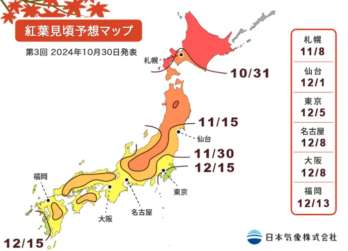 東京、大阪12月初最美！日本各地最佳賞楓期一次看