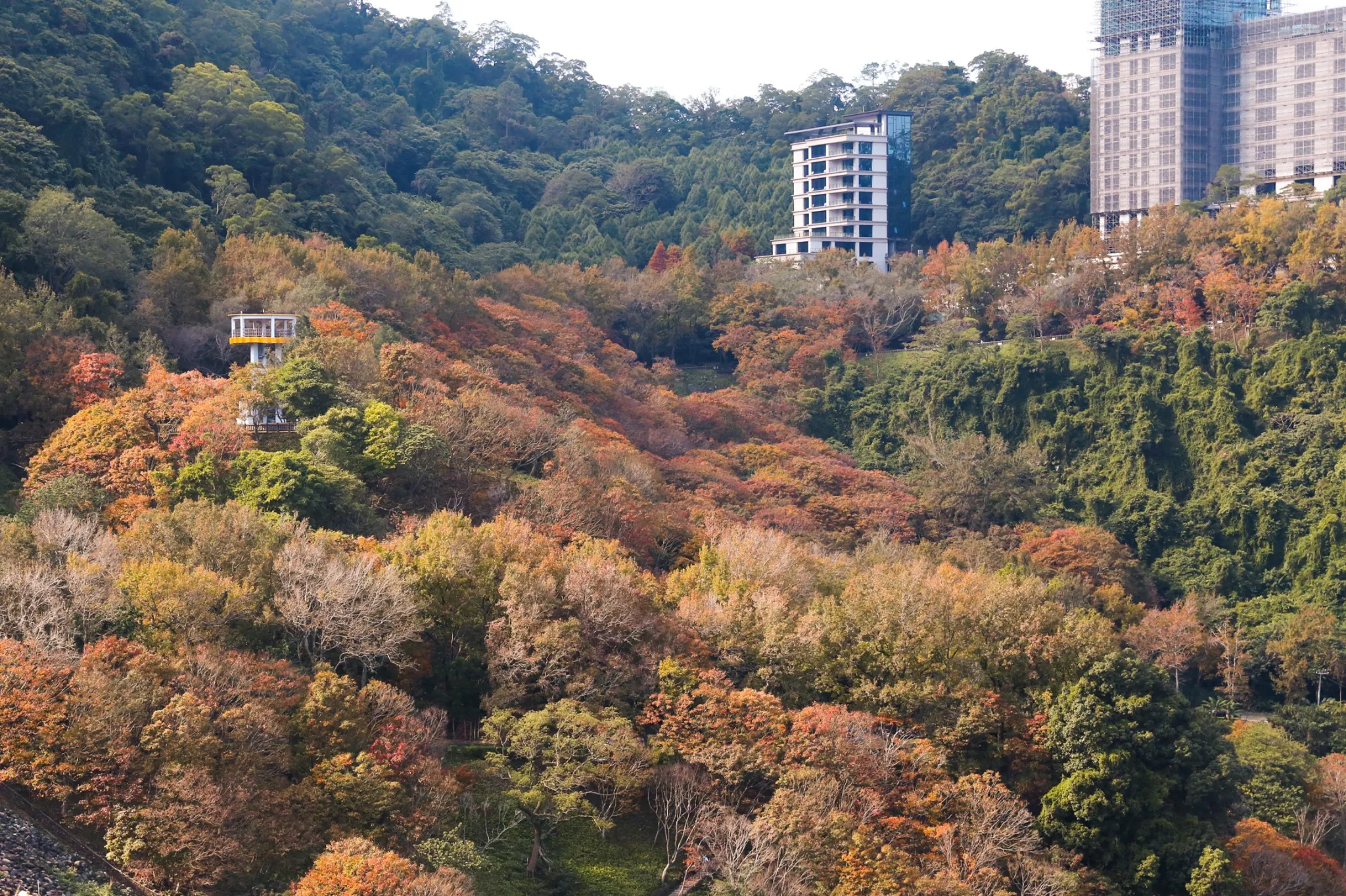 NO.7 桃園 石門水庫