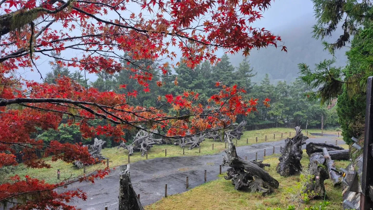 NO.9 太平山國家森林遊樂區 