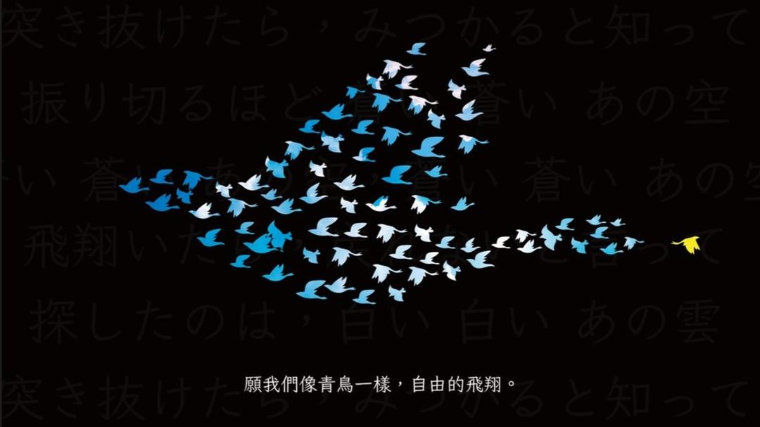 反立法院擴權　528「青鳥行動」全台15縣市大串聯