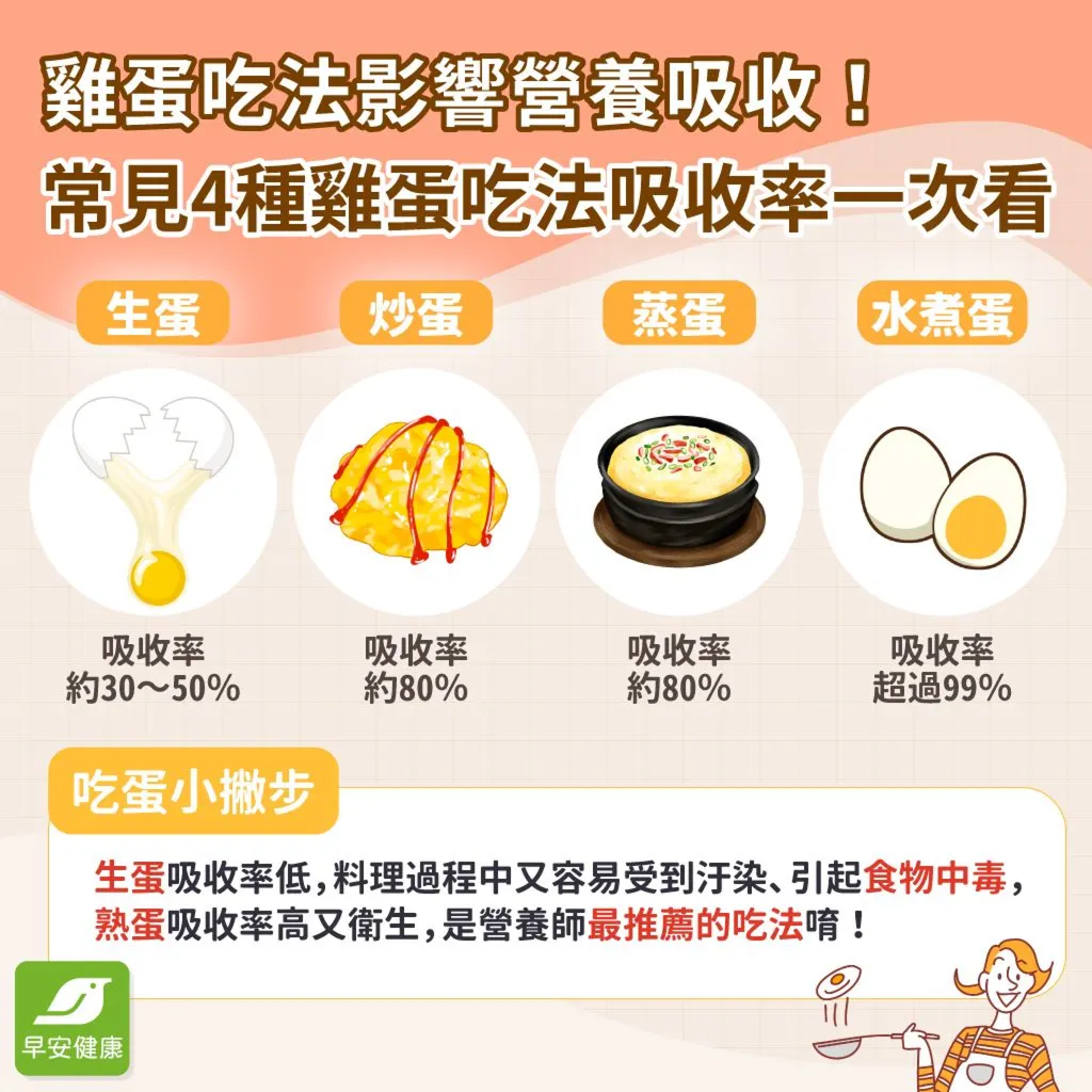 成人一天2~3顆全熟蛋　蛋白質吸收率達99%