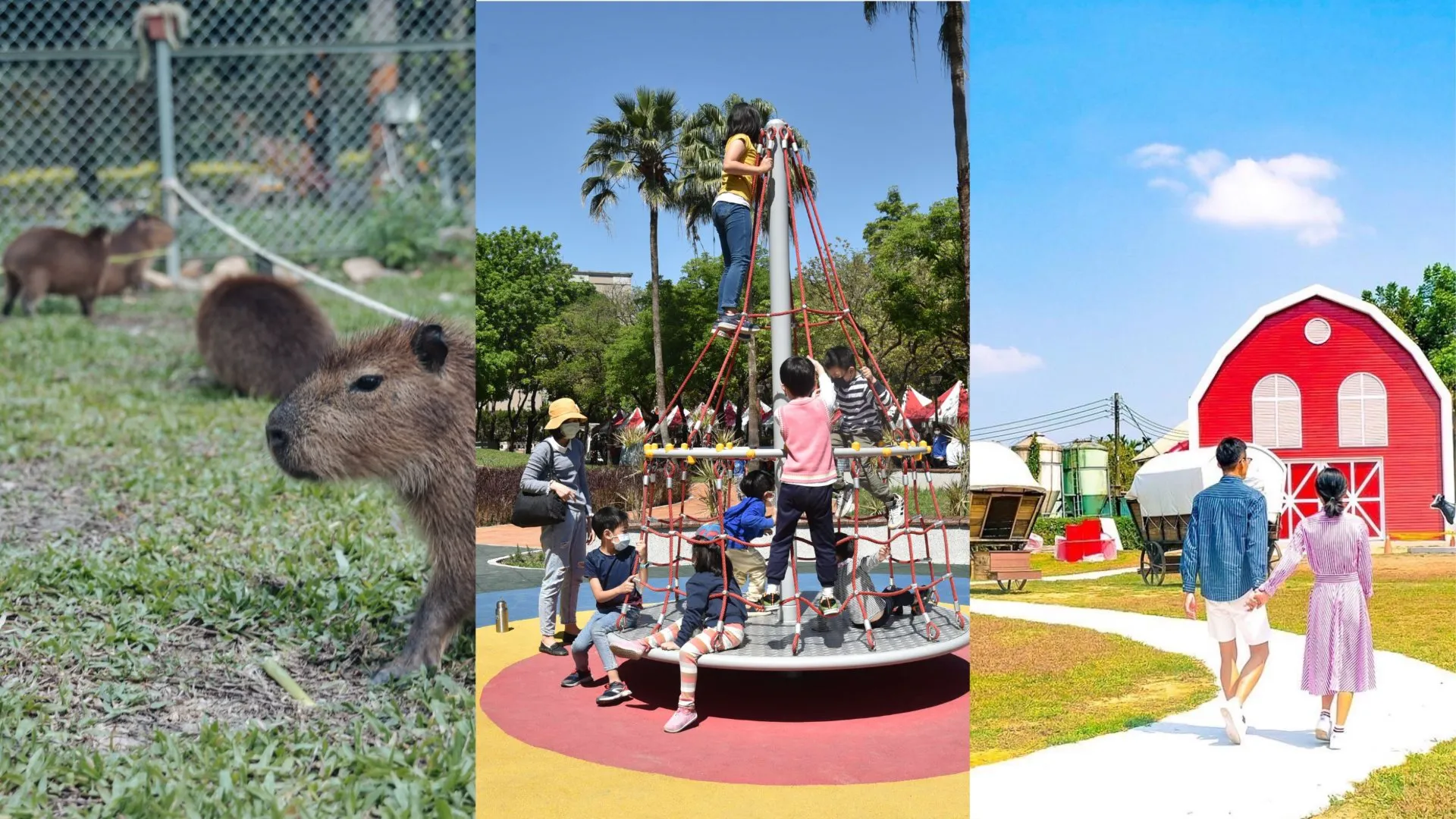 中南部超人氣親子出遊景點！水豚咖啡廳、超大公園、生態牧場帶你一次看