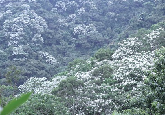 土城石門路