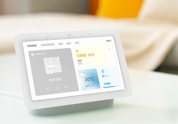 Google Nest Hub