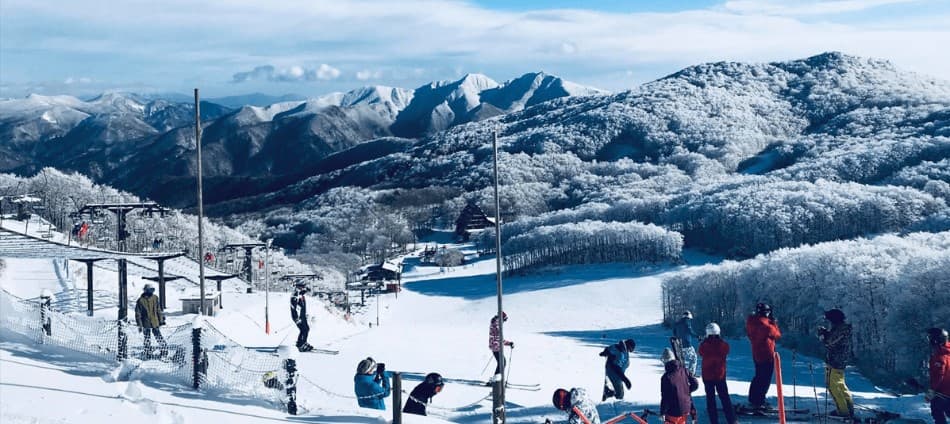 日本滑雪新手必看！最熱門TOP10日本滑雪場介紹