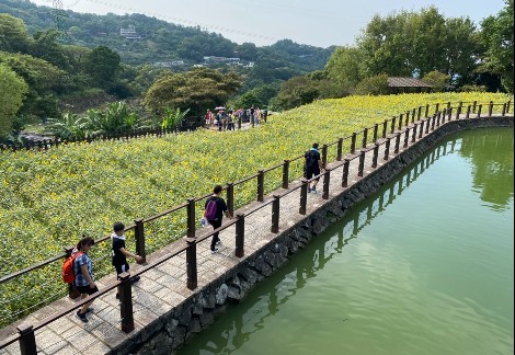 暑假出遊！2023台北十大人氣步道群　全國首創「親水文學步道」在哪？