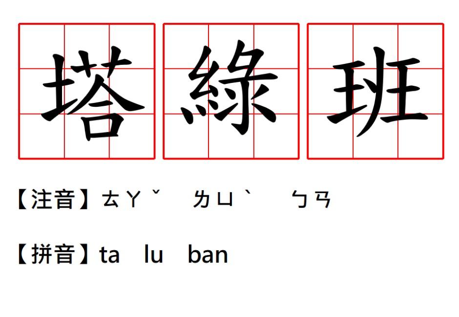 網路用語「塔綠班」是什麼意思？源頭貼文催生「塔綠班宇宙」爆發