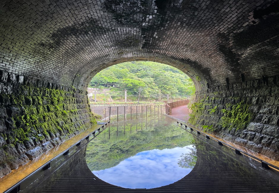 「全台最美隧道」三貂嶺隧道兼顧生態與觀光　榮獲多項國際獎項肯定