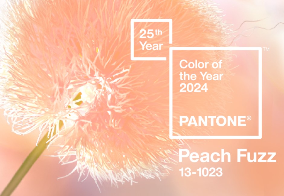 Peach Fuzz（柔和桃）是什麼顏色？Pantone公布2024年度代表色：在不安的時代帶來溫暖氣息