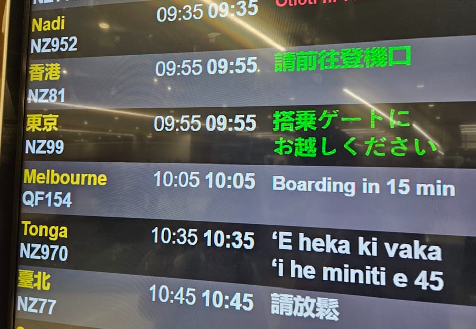 總統大選投票日！紐航班機出現「繁中3字」　網紅笑：知道台灣壓力大