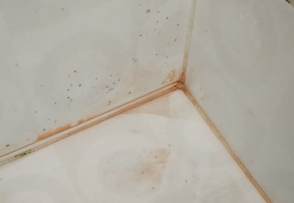 浴廁出現粉紅斑點別輕忽　善用三招遠離惱人黴菌