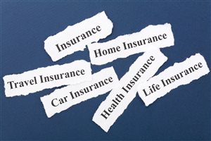 .toddcarrinsurance