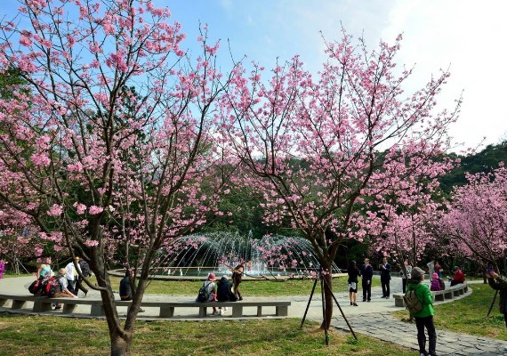 FB/陽明山國家公園