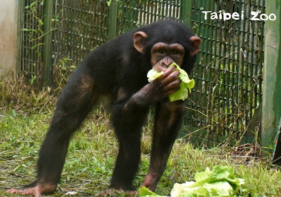 台北市立動物園 粉專