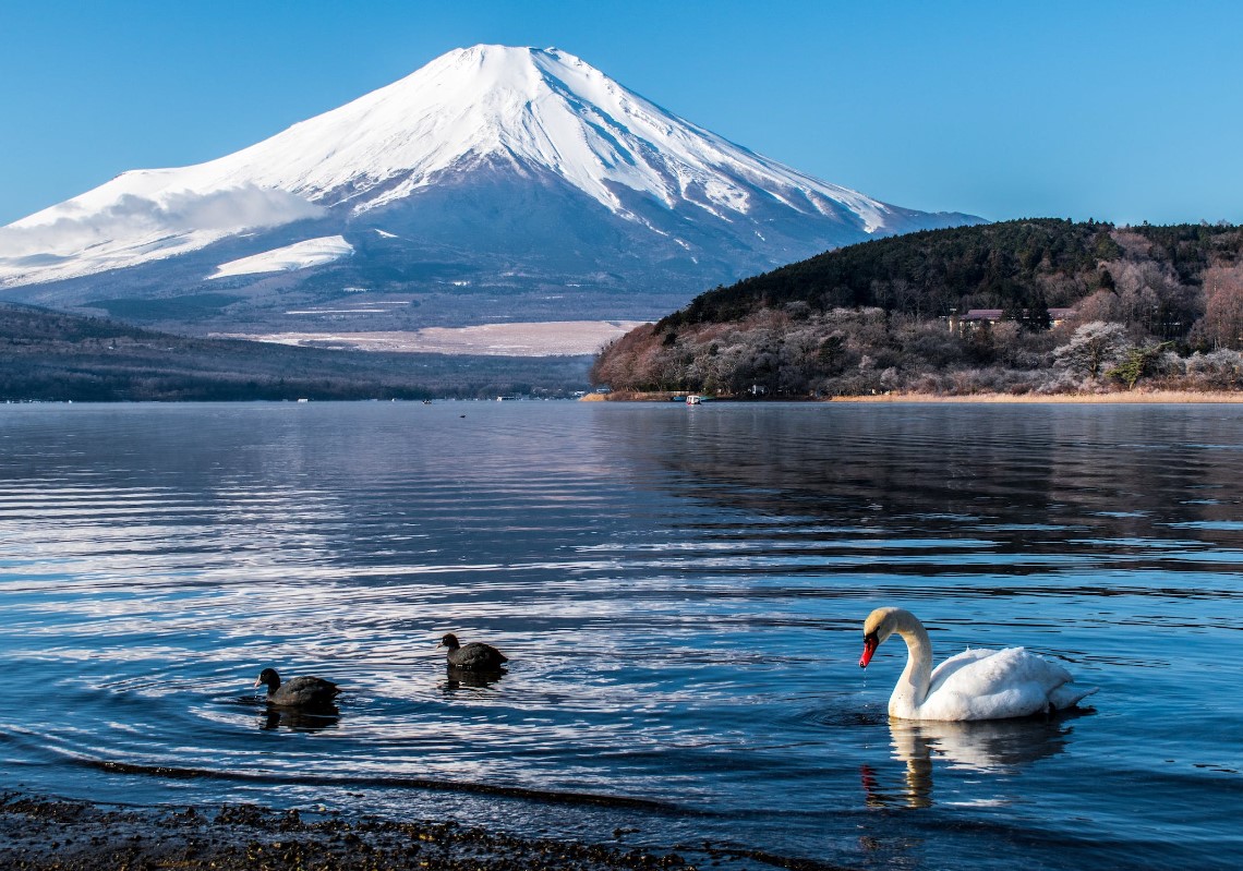 示意圖/pexels（富士山）