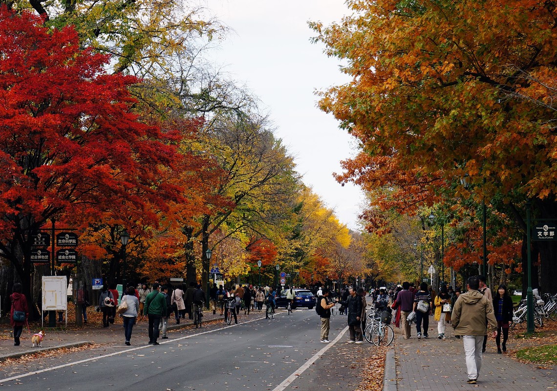 663highland（北海道大學）