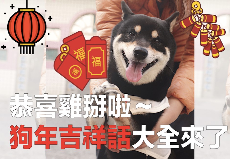 別再恭喜發財啦!狗年最撩吉祥話大全 讓你紅包秒長大