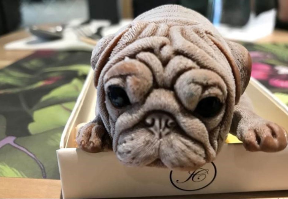 「6秒鏟狗頭」影片點閱破千萬!這個台灣之光意外引老外暴怒