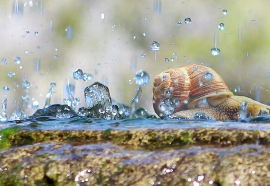 418強震狂晃…艋舺龍山寺震掉一「滴水」是什麼意思?