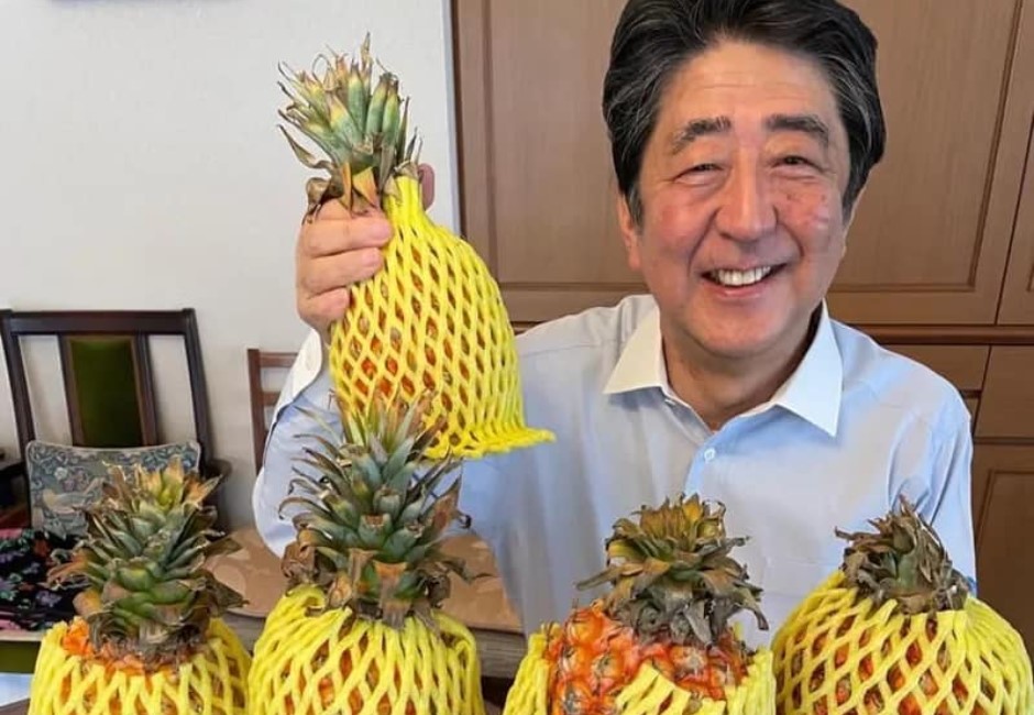 「愛台」安倍遭槍擊 總統蔡英文震驚:嚴厲譴責暴力不法行為