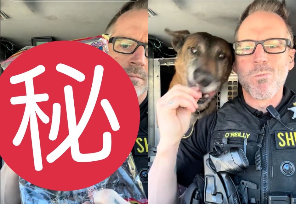 美警餵警犬吃「雪の月米果」爆紅!盤點外國人最愛台零食