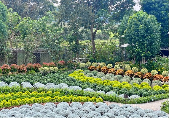 翻攝FB/花露農場Flower Gardan
