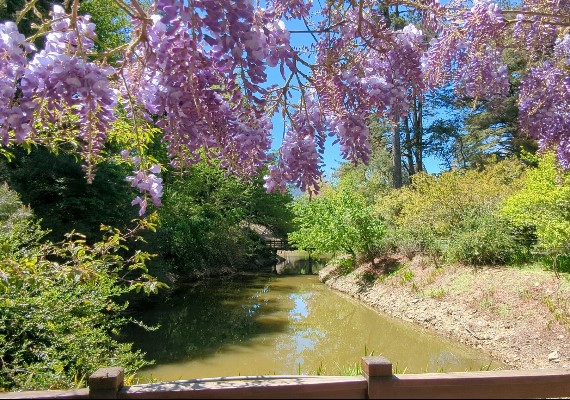 福壽山農場FushoushanFarm