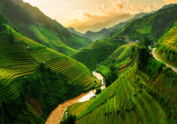 shutterstock(沙壩梯田)