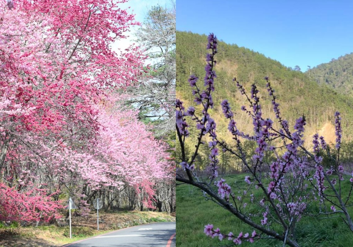 FB/武陵農場 Wuling Farm
