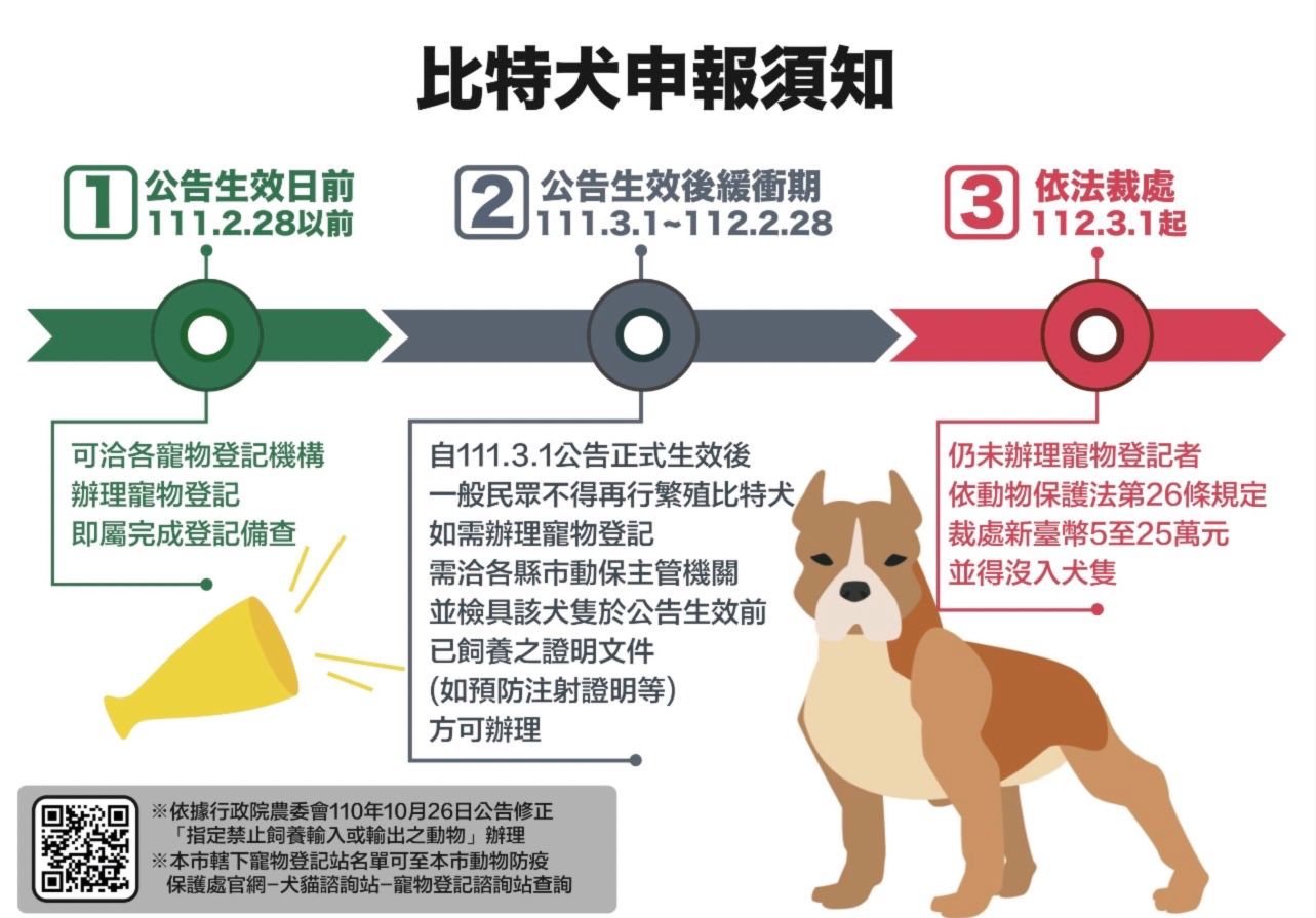 比特犬飼主照護疏失?動保處:不排除安樂死