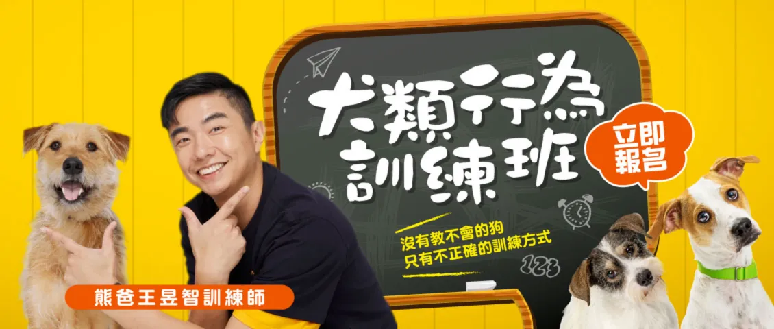 亮點2|狗狗、貓咪專屬互動區 從遊戲、訓練到行為解碼一次體驗