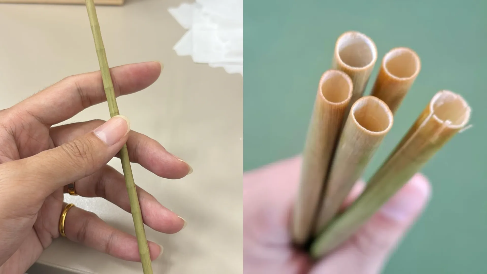 速食減塑推「竹吸管」好用嗎?網吐槽:竹味太重變「竹香紅茶」、確診變貓熊
