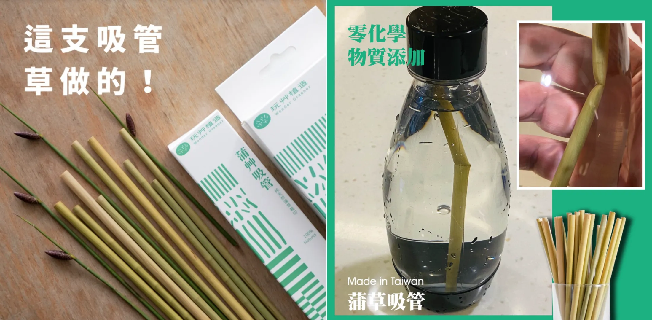「玩艸植造」發明天然蒲草吸管獲青睞 麥當勞、星巴克都搶下單