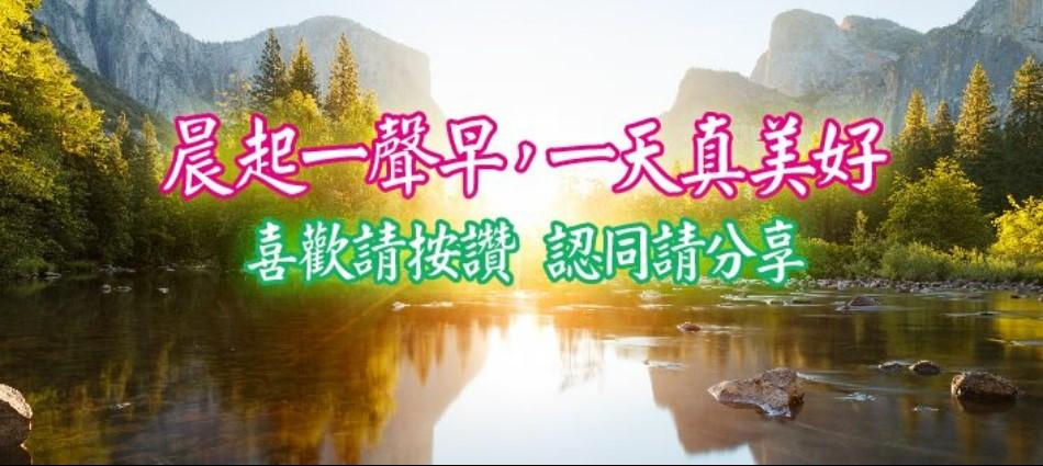 早安午安晚安！十大長輩傳訊息習慣　熟悉的「蓮花圖」你一定收過