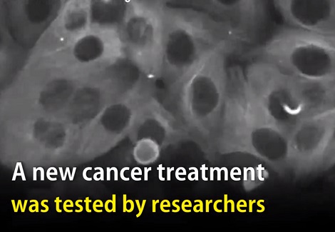 治療率超過九成！抗癌最新技術：讓癌細胞自殺！