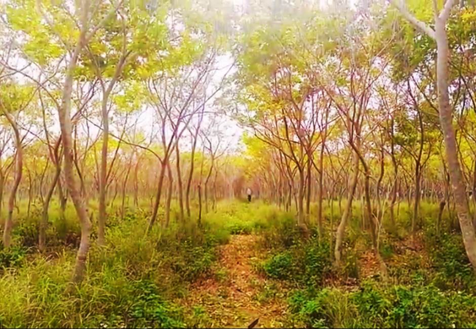 【百大口碑】台中超美秘境排行榜出爐！不只龍貓隧道，這4個地方也超夢幻！