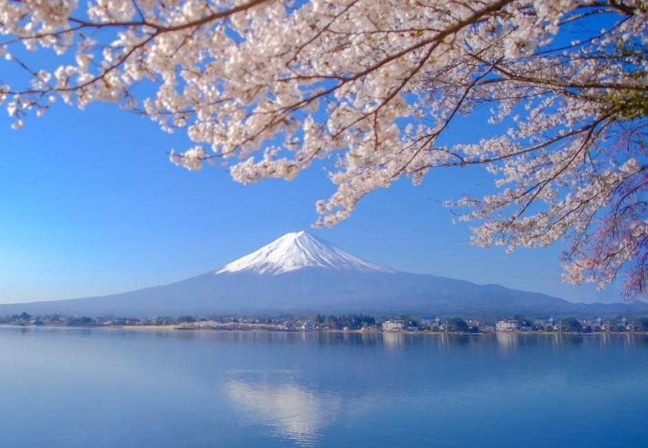 東區羅姐不夠看！最狂房東在富士山 日政府每年花大錢「租山頂」