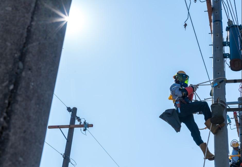 電價才要漲 台北高雄接連停電 網：小動物快出來認錯