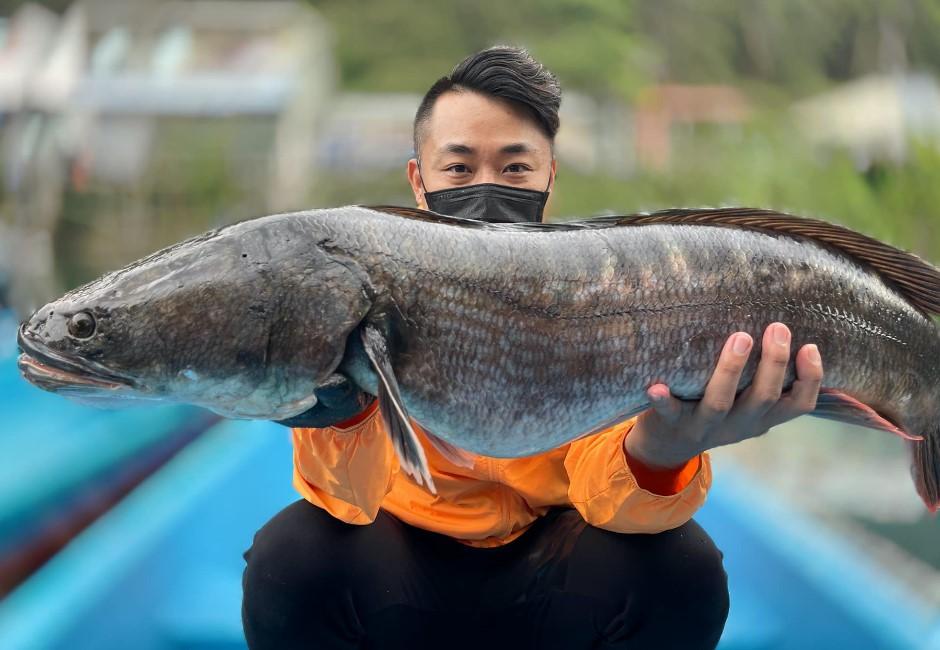 「魚虎球」是什麼？電擊爆抓上千尾也抓不完　8月恐面臨「紅色警戒」大爆發