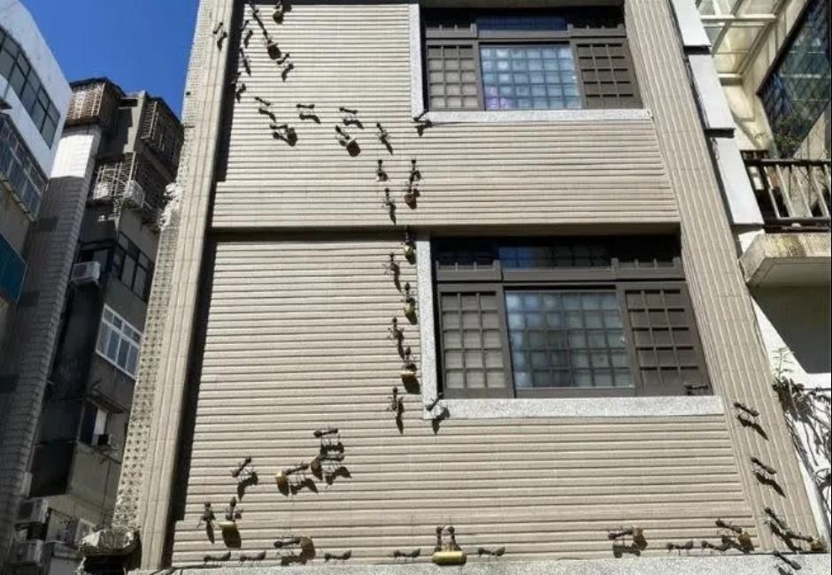 台南人蓋的房子？「巨型螞蟻」佈滿透天厝外牆　寓意藏在「搬運的東西」