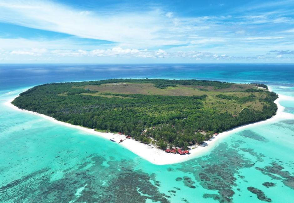 環灘島將成「世界第一的零碳島」　直擊復育海龜、保護海洋進行式