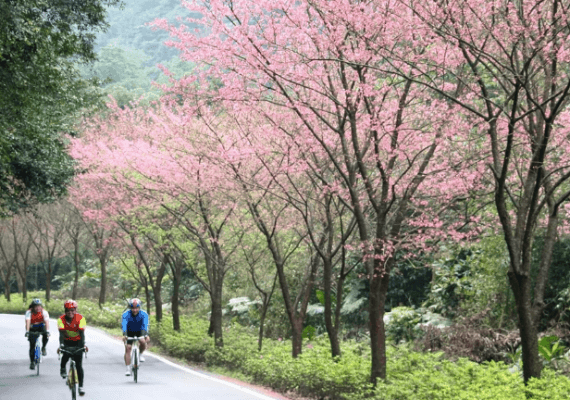 北海岸及觀音山國家風景區官網