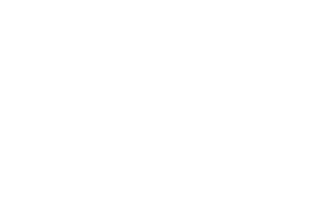 bearWhite